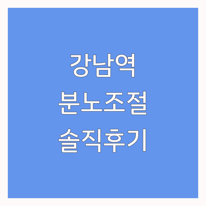 강남역 서초구 분노조절 상담소 추천 | 심리치료 멘탈코칭 잘하는 곳 | 개인상담 부부상담 가족상담 뉴로피드백 | 우울증 불안증 스트레스 관리 | 내담자 솔직 경험담 회복 팁